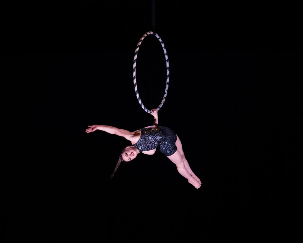 Nog 100 dagen tot kerst en dan… ‘Wintercircus Zwolle’!